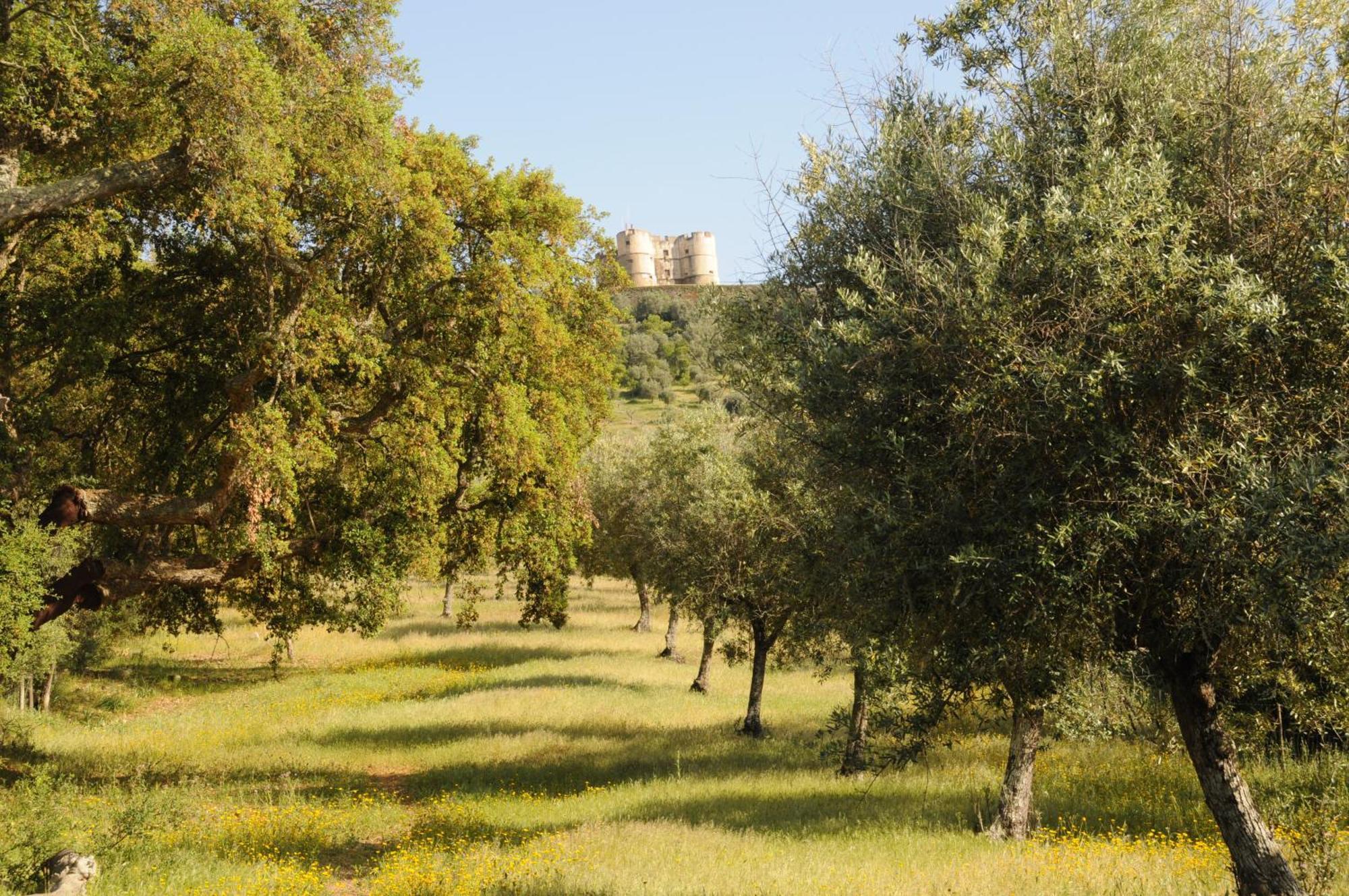 Quinta De Evoramonte Villa Estremoz Exteriör bild